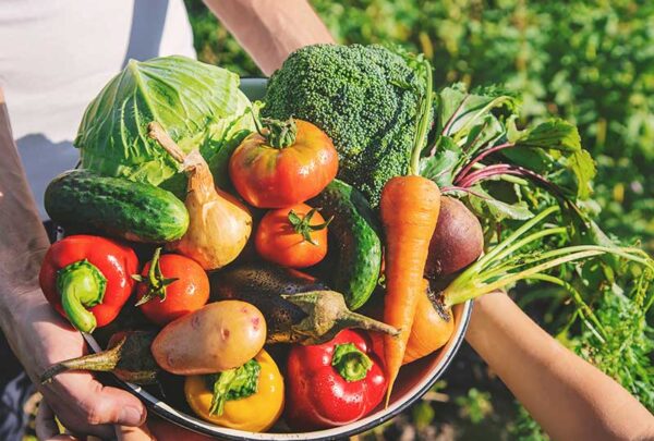 organic7 organic7